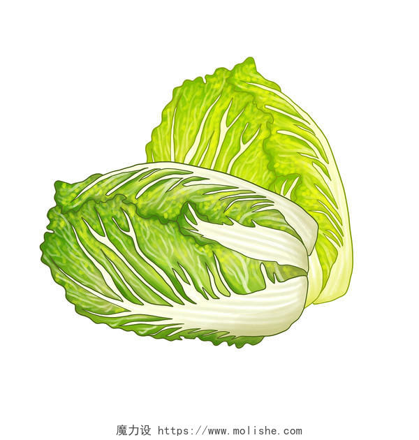手绘卡通白菜原创插画素材大白菜蔬菜元素